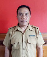 I NYOMAN SUMADIASA